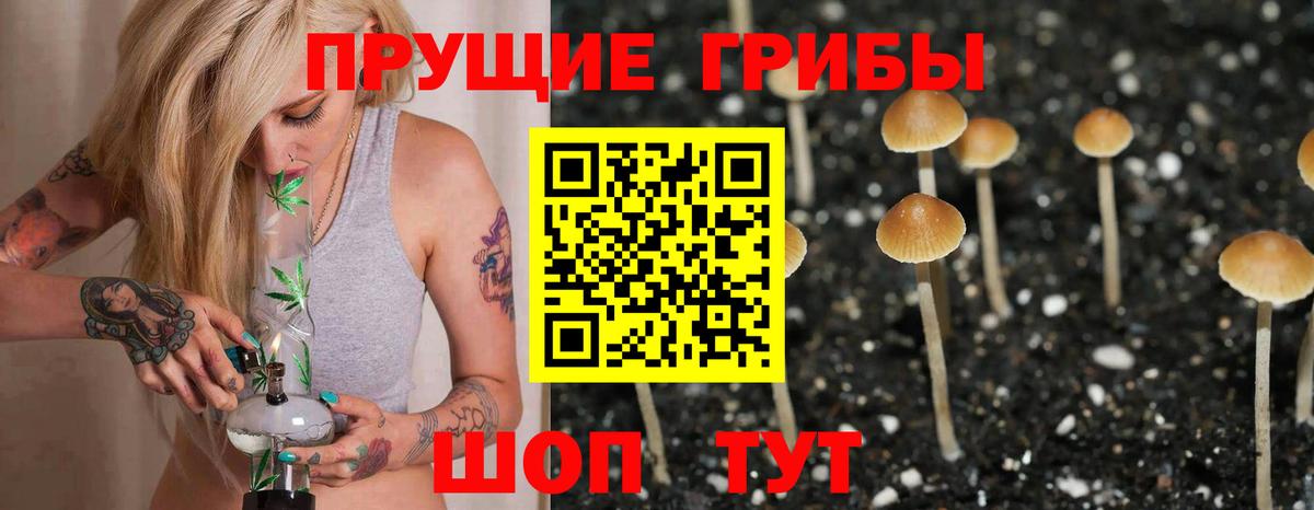 Псилоцибиновые грибы ЛСД Гусиноозёрск